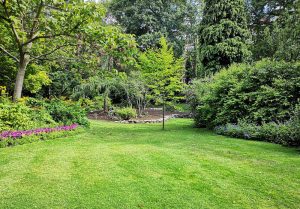 Optimiser l'expérience du jardin à Saint-Louis-de-Montferrand